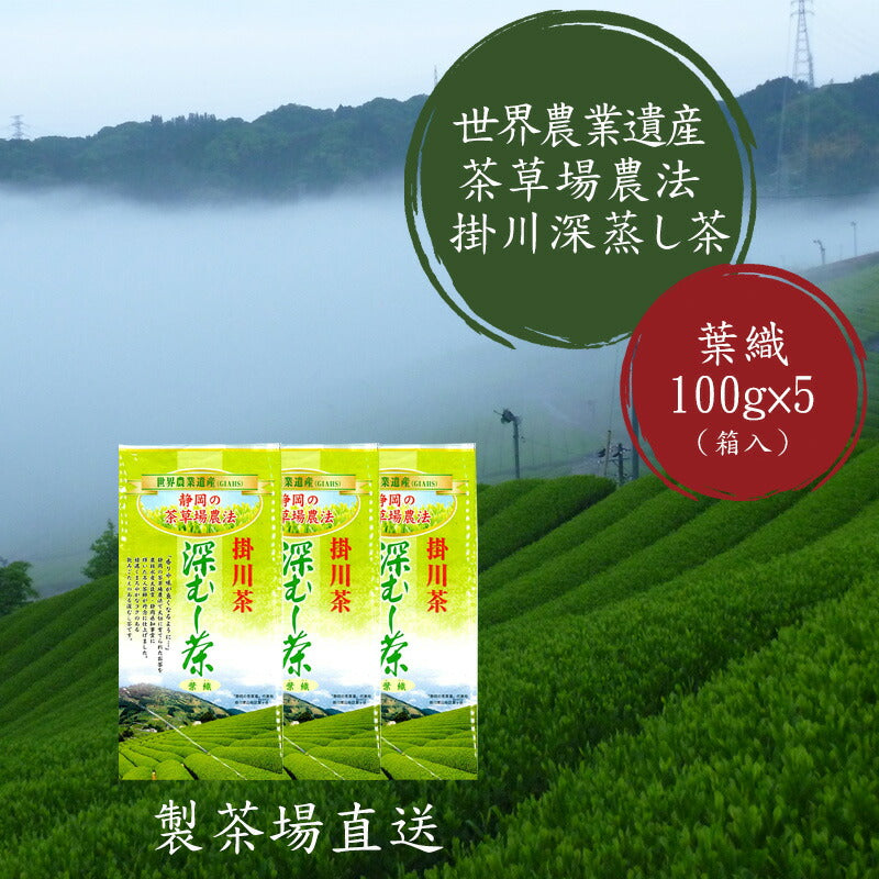 お茶 緑茶 日本茶 深蒸し茶 深むし茶 静岡茶 茶葉 製茶場直送【のし】 ギフト 世界農業遺産 茶草場農法 「葉織」100g×3本【化粧箱入 –  zugkla